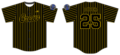 Michigan Brewers Custom Hexaflex Baseball Jersey #J8D