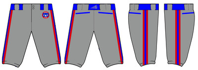 Mid-Michigan Cubs Custom Knicker Baseball Pant #BP1C