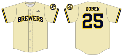 Michigan Brewers Custom Hexaflex Baseball Jersey #J11