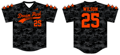 Dream Park Custom Pro-Premier Baseball Jersey #J2C