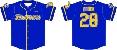 Michigan Brewers Custom Hexaflex Baseball Jersey #J3G