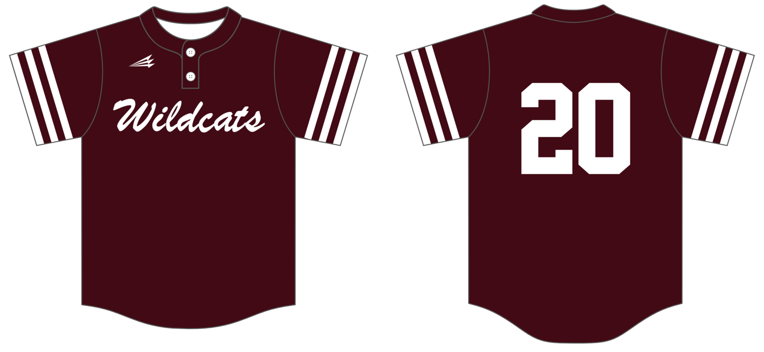 Arkansas Wildcats Custom NanoDri Baseball Jersey #J2B