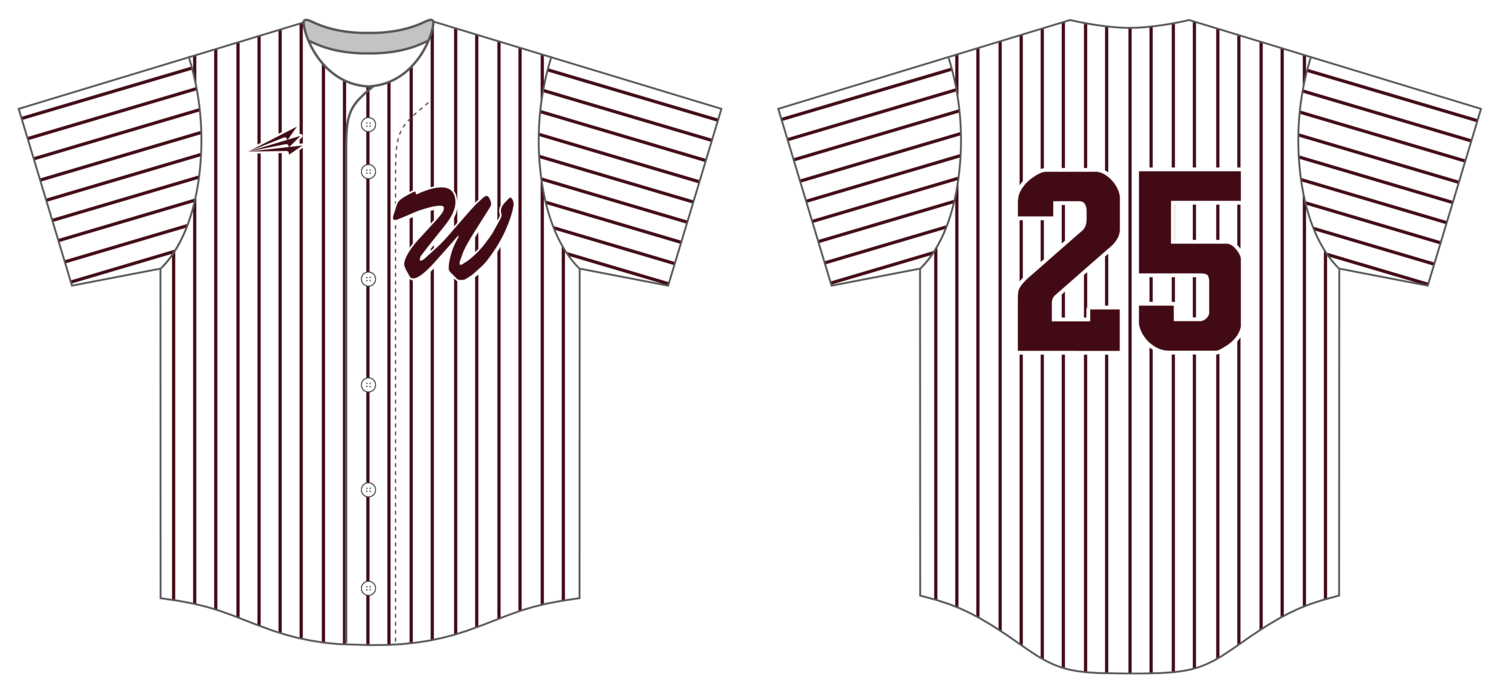 Arkansas Wildcats Custom NanoDri Baseball Jersey #J1C