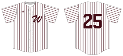 Arkansas Wildcats Custom NanoDri Baseball Jersey #J1C