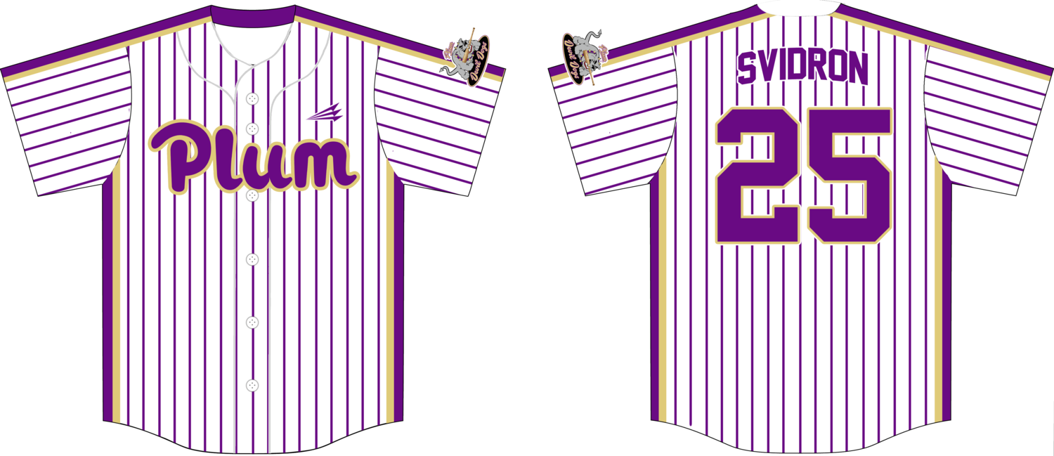 Plum Devil Dogs Custom HexaFlex Baseball Jersey #J4b