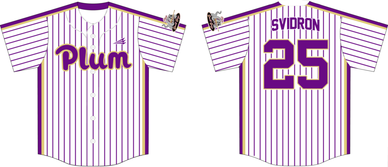 Plum Devil Dogs Custom HexaFlex Baseball Jersey #J4b