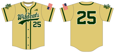 Eastern Randolph Custom Nanodri Baseball Jersey #J2C
