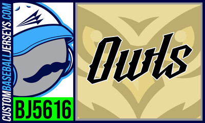 SGV OWLS