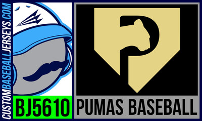Pumas (Cazenave)