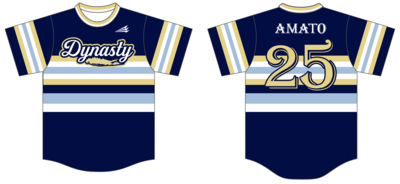 Long Island Dynasty Custom NanoDri Baseball Jersey #J3c