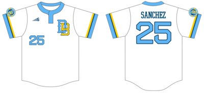Miami Dirtbags Custom Hexaflex Baseball Jersey #J4C