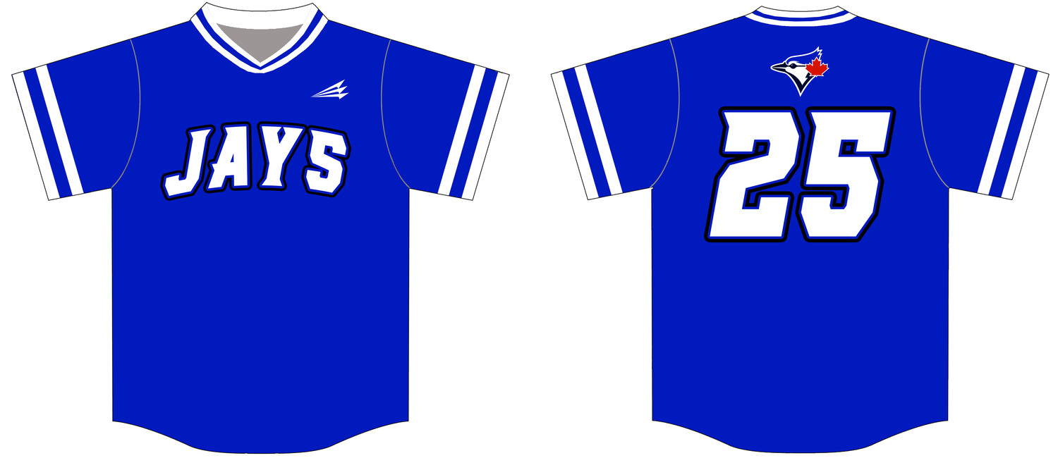 Mississippi Blue Jays Custom Nanodri Baseball Jersey #J2