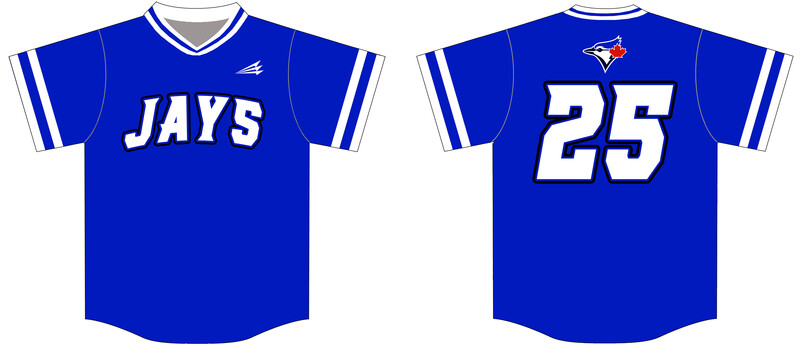 Mississippi Blue Jays Custom Nanodri Baseball Jersey #J2
