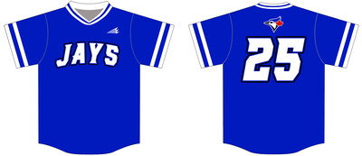 Mississippi Blue Jays Custom Nanodri Baseball Jersey #J2