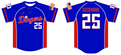 Indiana Dingers Custom NanoDri Baseball Jersey #J1