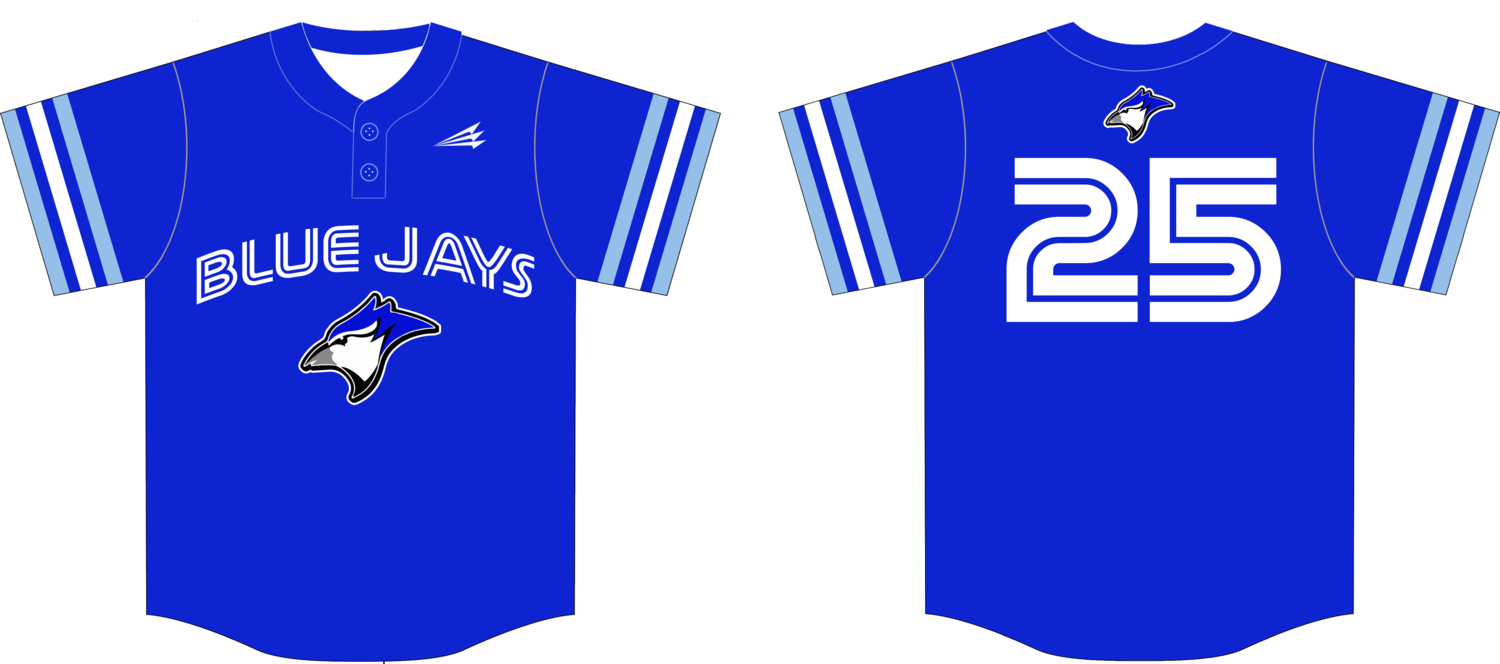 Garretson Blue Jays Custom NanoDri Baseball Jersey #4g