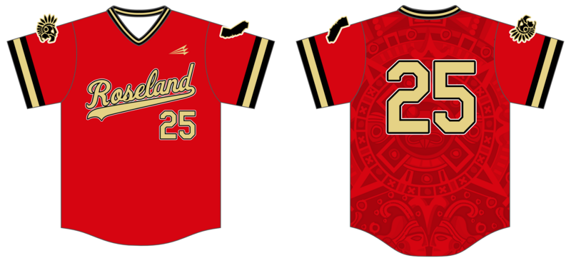 Warriors Custom HexaFlex Baseball Jersey #J6B