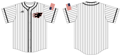 Alabama Fire Custom NanoDri Baseball Jersey #J5