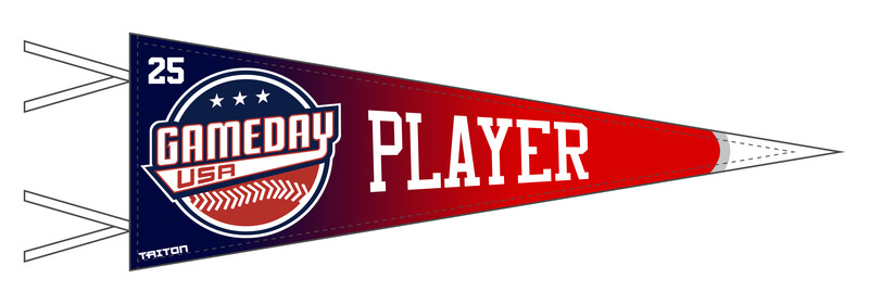 Game Day USA Baseball Custom Pennant #PF1