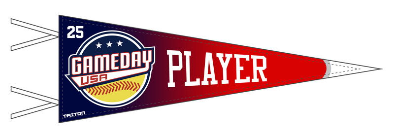 Game Day USA Softball Custom Pennant #PF1