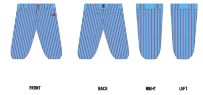 Arlington Twins Custom Knicker Baseball Pant #BP2