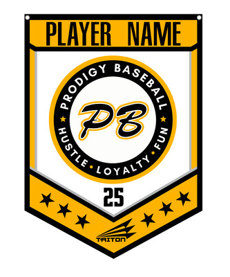 Prodigy Baseball Miami Custom Banner #CB1