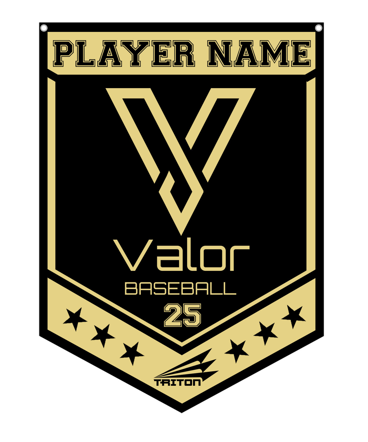 Valor Baseball Custom Banner #CB1