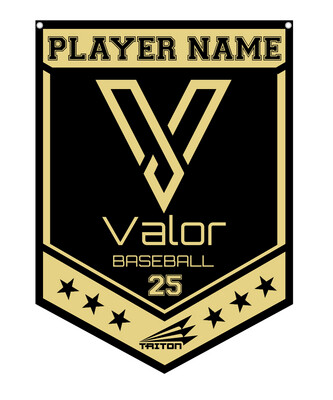 Valor Baseball Custom Banner #CB1
