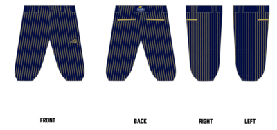 Johnson City Thunder Stacheman Elite Custom Knicker Baseball Pants #BP2B