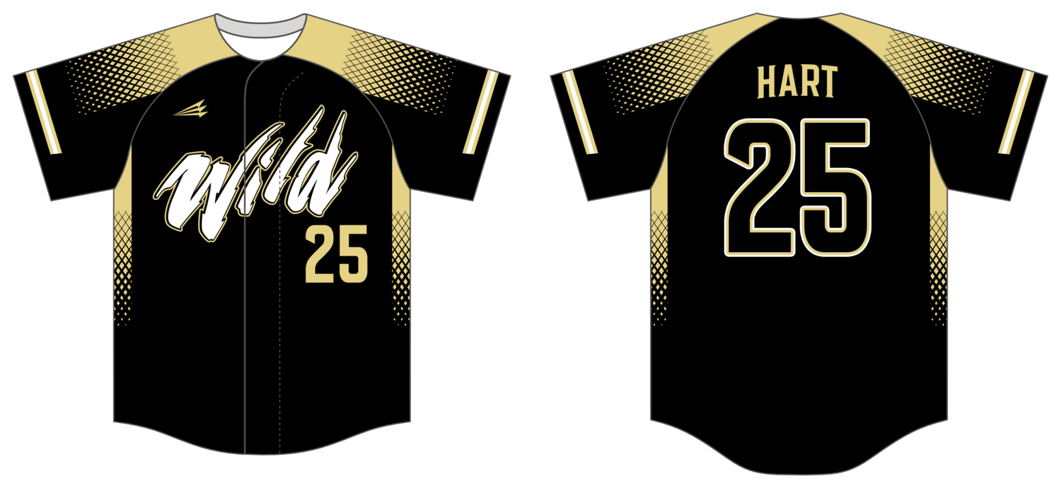 WILD B.C. (Neshaminy) Custom HexaFlex Baseball Jersey #J8B