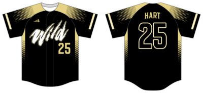 WILD B.C. (Neshaminy) Custom HexaFlex Baseball Jersey #J8B