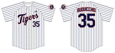 NY Tigers Custom NanoDri Baseball Jersey #J4D