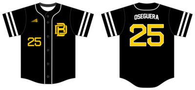 Dirtbags Custom NanoDri Baseball Jersey #J2