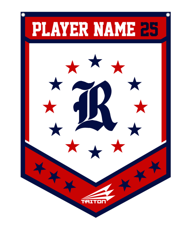 Rogue Custom Banner #CB1