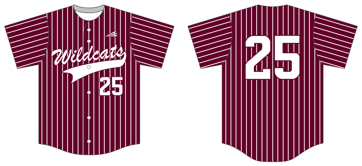 Arkansas Wildcats Custom NanoDri Baseball Jersey #J2B