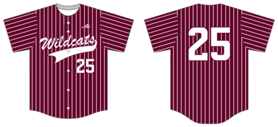 Arkansas Wildcats Custom NanoDri Baseball Jersey #J2B