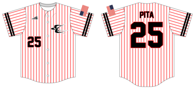 Team Diesel Custom HexaFlex Baseball Jersey #J2