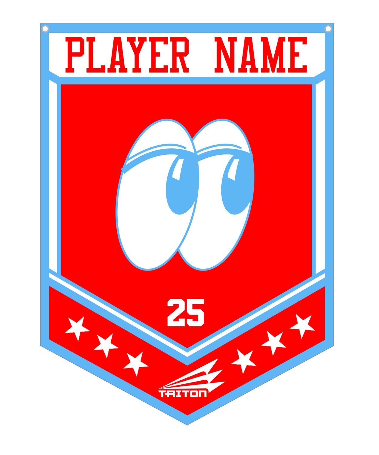 SW Lookouts Custom Banner #CB1