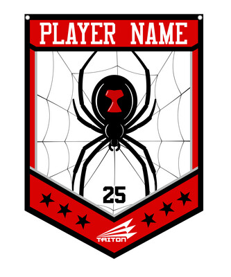 Black Widows Softball Custom Banner #CB1