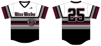 Rayne Ricebirds Custom Nanodri Baseball Jersey #J11B