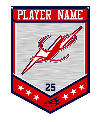 LVBA Lightning Custom Banner #CB1