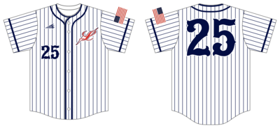 LVBA Lightning Custom NanoDri Baseball Jersey #J4