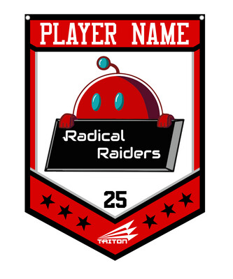 Radical Raiders Custom Banner #CB1