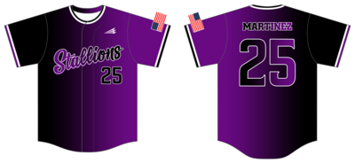 Stallions (Martinez) Custom NanoDri Baseball Jersey #J1