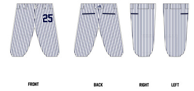 VeloTech Stacheman Elite Custom Knicker Baseball Pants #BP1B
