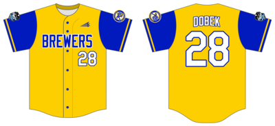 Michigan Brewers Custom Hexaflex Baseball Jersey #J18D