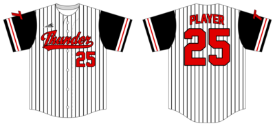 Troy Thunder Custom HexaFlex Baseball Jersey #J6B