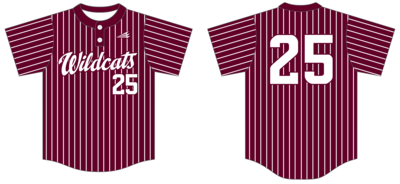 Onalaska Wildcats Custom HexaFlex Baseball Jersey #J2D