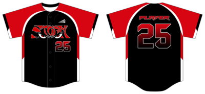 Littlestown Storm Custom HexaFlex Baseball Jersey #J5