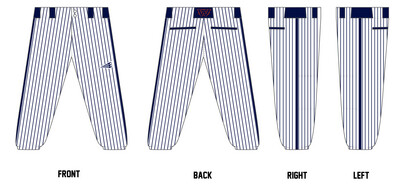 Wayne County High School Stacheman Elite Custom Softball Pants #FP1